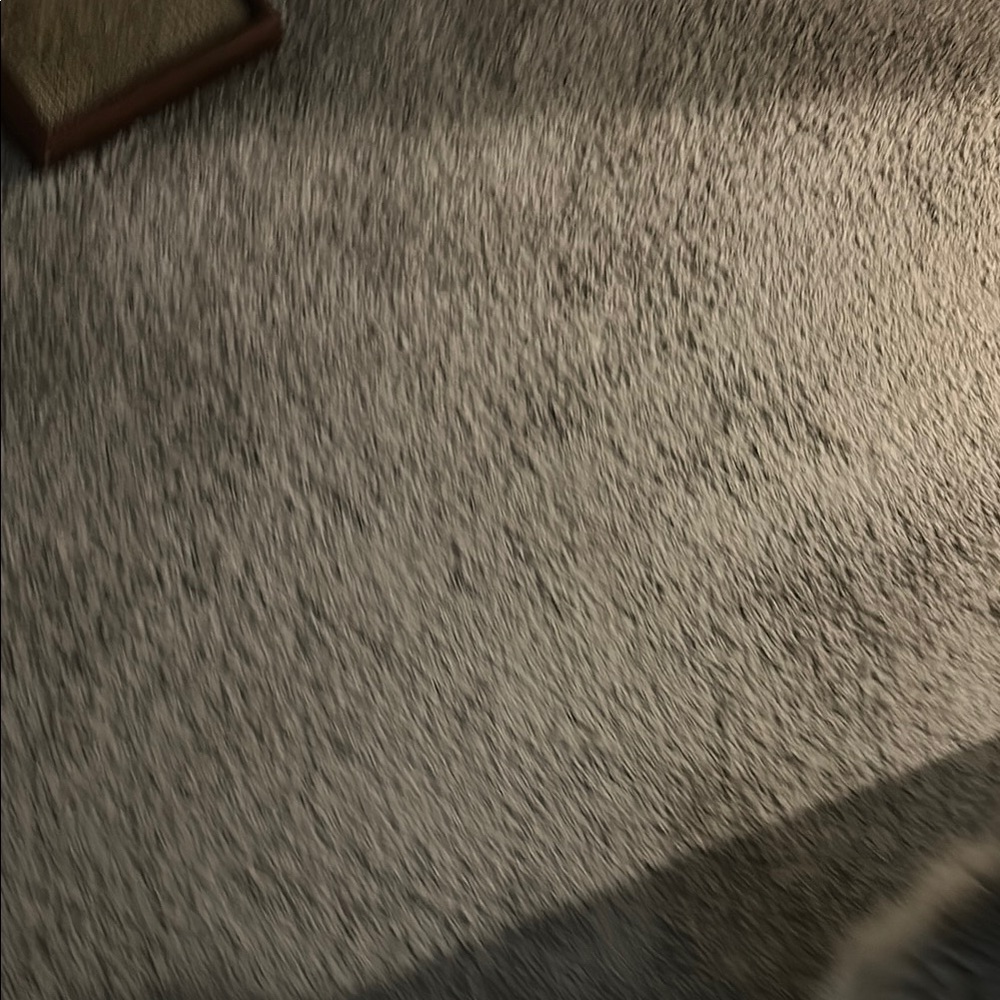 Elegant Gray Wall Decor